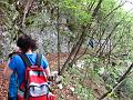 Slika_49