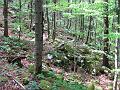 Slika_51