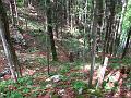 Slika_52