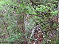 Slika_53