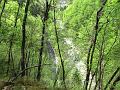 Slika_55