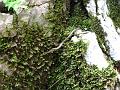 Slika_56