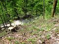 Slika_60