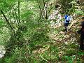 Slika_62