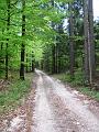 Slika_66