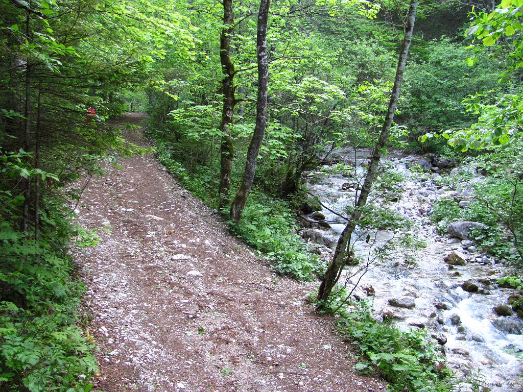 Slika_03.jpg - Ob potoku Kamniška Bela za začetek prav prijetno pohajkujeva. Ta del poti priporočava za mimoidoče turiste, saj je večino ravninski in lahko gremo do slapu imenovanega Orglice. Naj bi bila tam nekje pa tudi partizanska bolnišnica. Odcep je označem, od odcepa do slapu pa naj bi bilo hoje 15 minut. Da je slap lep, pa ne govoriva iz prve roke, saj ob vzponu nikoli ne greva s poti, nazaj pa tudi ne greva po tej poti.