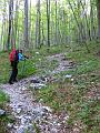 Slika_04