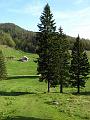 Slika_62