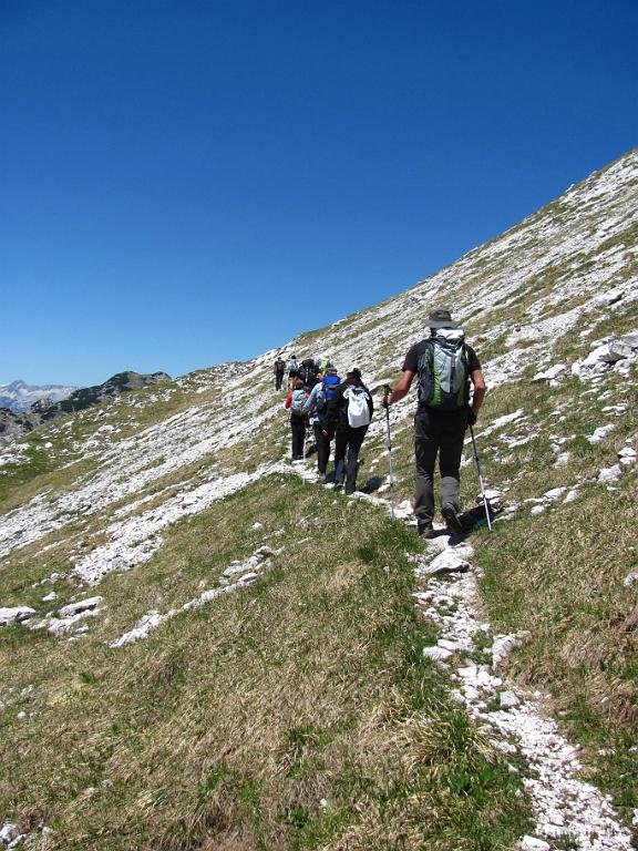 Slika_064.jpg - Lepa pot, pihlja, ni prevroče.