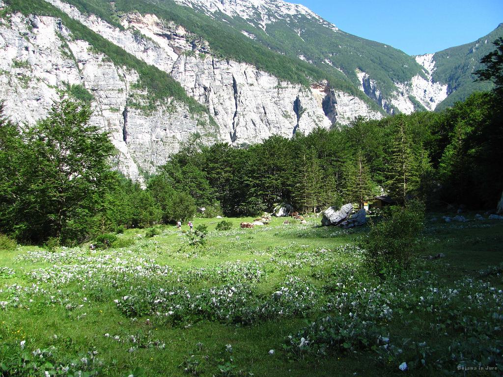 Slika_089.jpg - Pri izviru Tolminke, RAJ NA ZEMLJI!