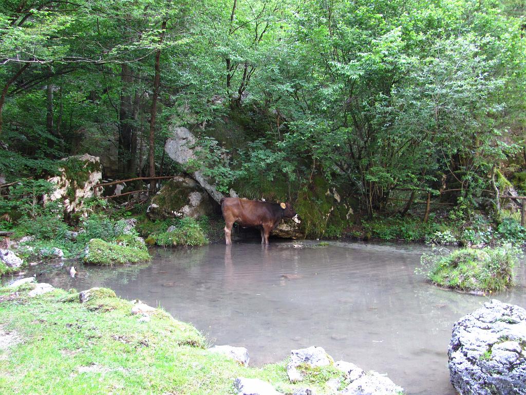 Slika_093.jpg - Izobčen.