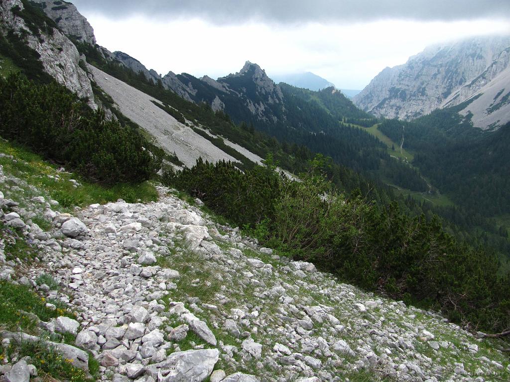 Slika_58.jpg - Nazaj na markirani poti proti Zelenici.
