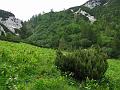 Slika_12