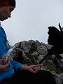 Slika_32