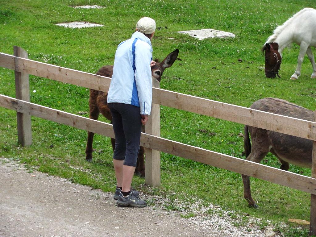 Slika_070.jpg - Tudi pobožati se pustijo.