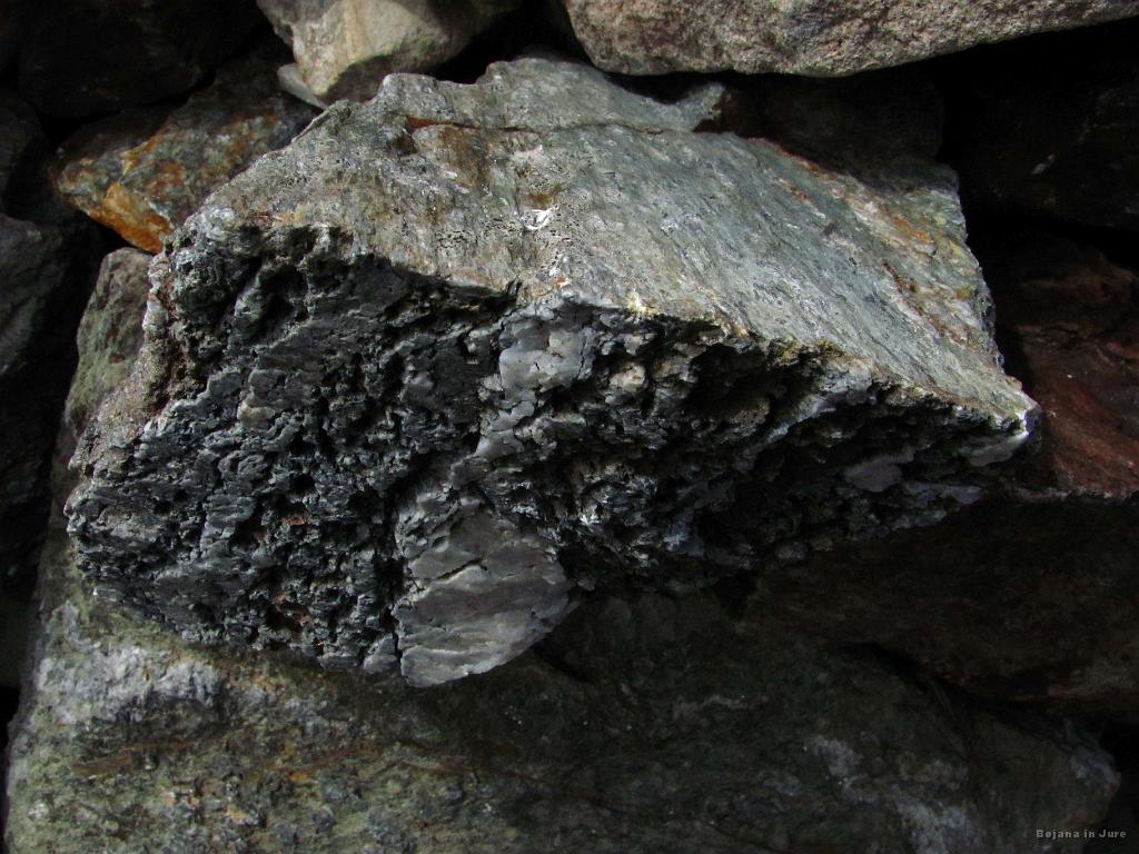 Slika_090.jpg - Zanimiv kamen, ki izgleda kot odžagan kos starega lesa.