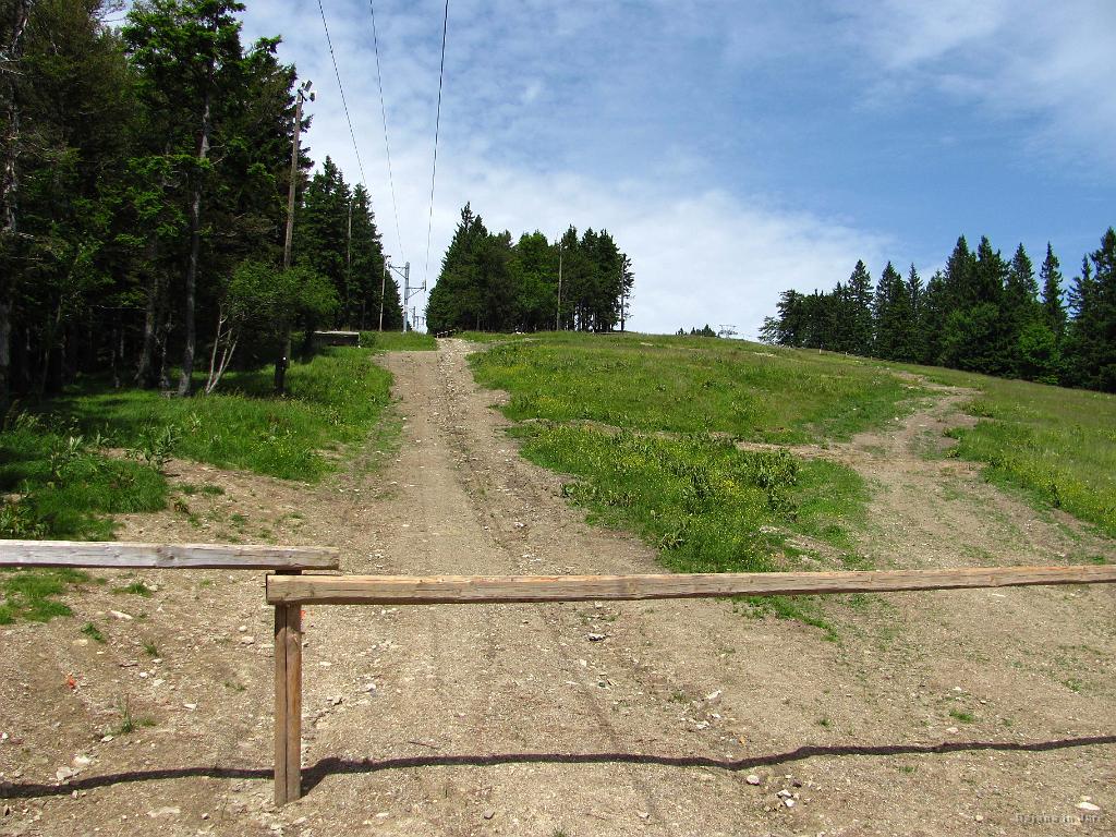 Slika_161.jpg - Ja, sonce je premagalo oblake, zato se nama je obetal bolj vroč dan.