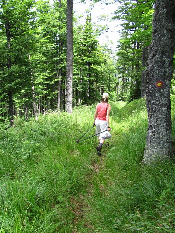 Slika_181.jpg - No pa greva še malo dol. Po markirani evropski pešpoti E6, katere del, poimenovan Ciglarjeva pot, poteka od Eibiswalda (Ivnika) v Avstriji prek Pohorja, Trojan in Snežnika do Strunjana, celotna pa sega vse do Baltika.