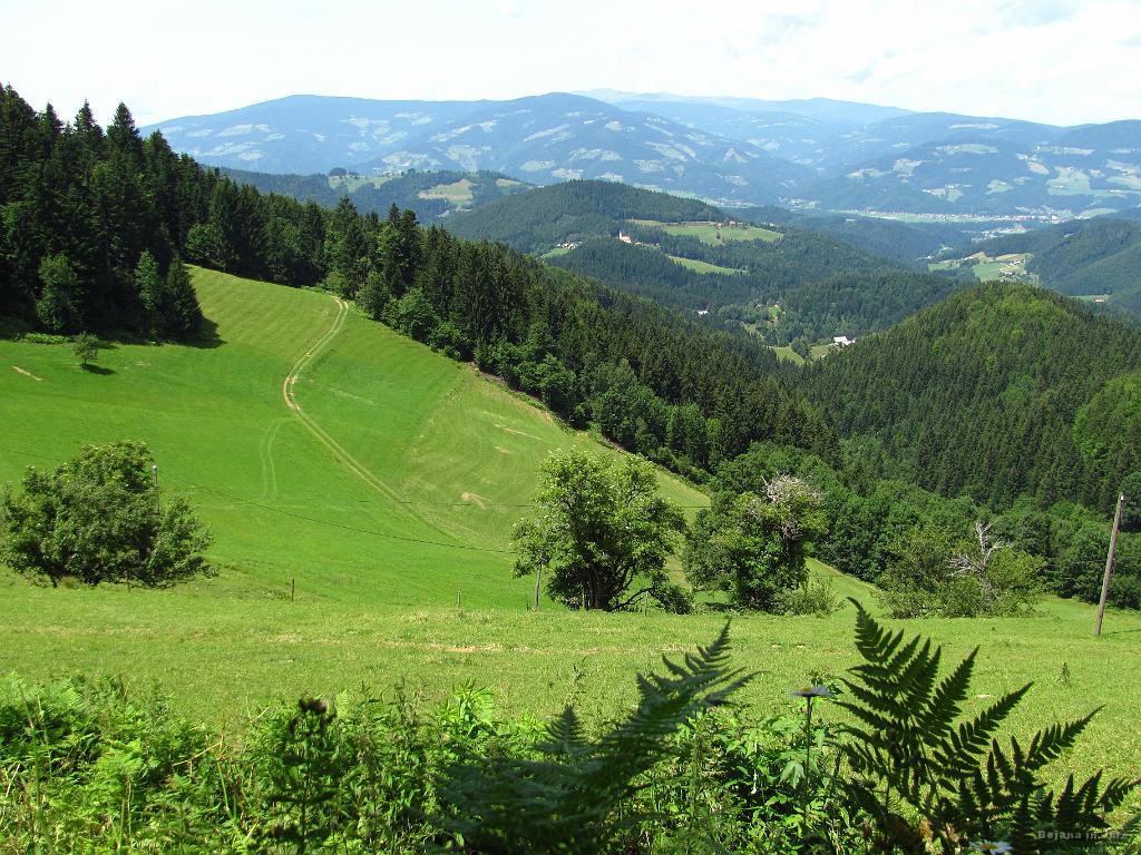 Slika_191.jpg - Ob poti.