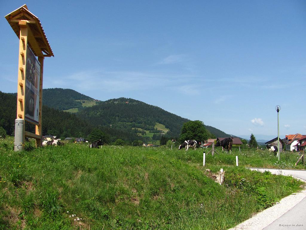 Slika_246.jpg - Idilična pot, ravno prav oddaljena od glavne ceste.