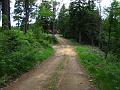 Slika_065