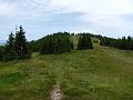 Slika_174
