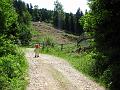 Slika_193