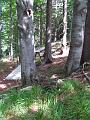 Slika_208