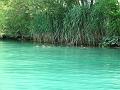 Slika_310