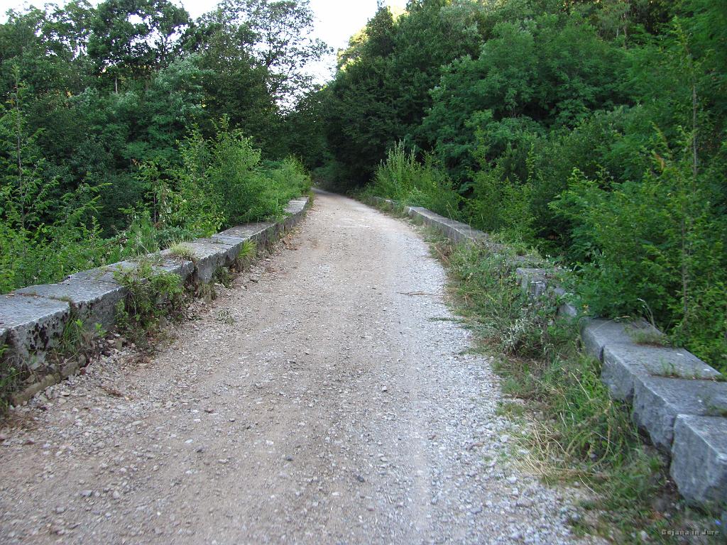 Slika_008.jpg - Eden izmed mostov na poti. Pogled navzdol povzroča vrtoglavice, saj levo in desno vidimo vrhove dreves.