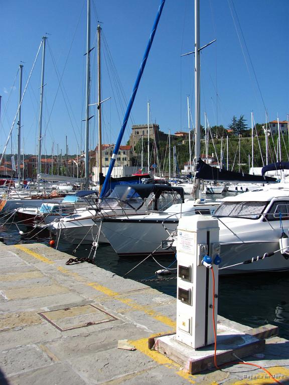 Slika_063.jpg - Jadrnice čakajo ugodnih vetrov.