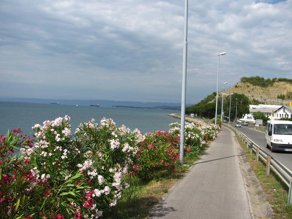 Slika_124.jpg - Smo šli biciklirat od Izole do Kopra...