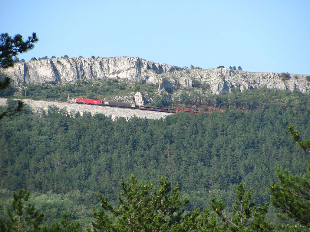 Slika_141.jpg - Vlak v klanec! Ta dan sva jih videla polno.