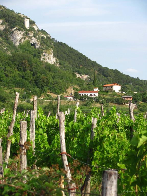 Slika_148.jpg - Podpeč.
