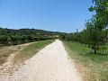 Slika_091