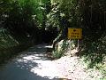 Slika_099