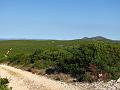 Slika_079