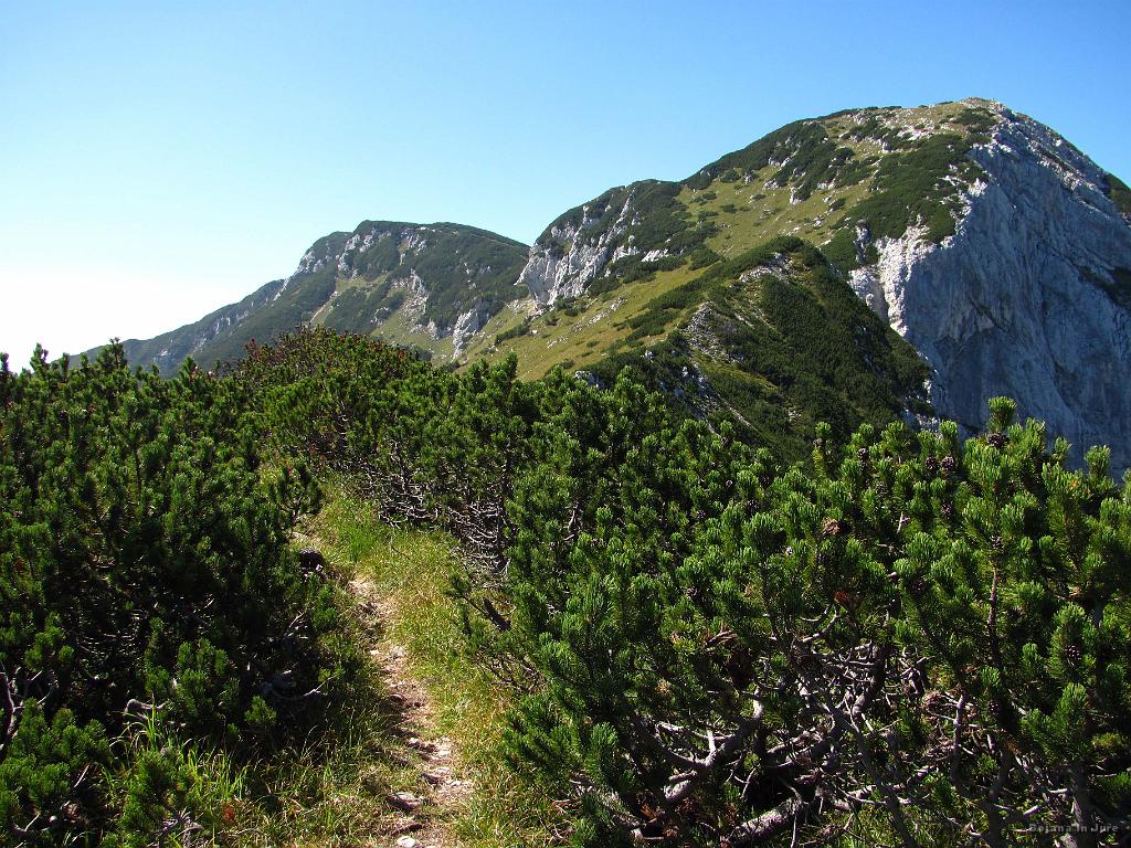 Slika_49.jpg - Na Mokrico ne vodi nobena druga pot kot spust s Kompotele, zato se je bilo treba dvigniti po isti poti.