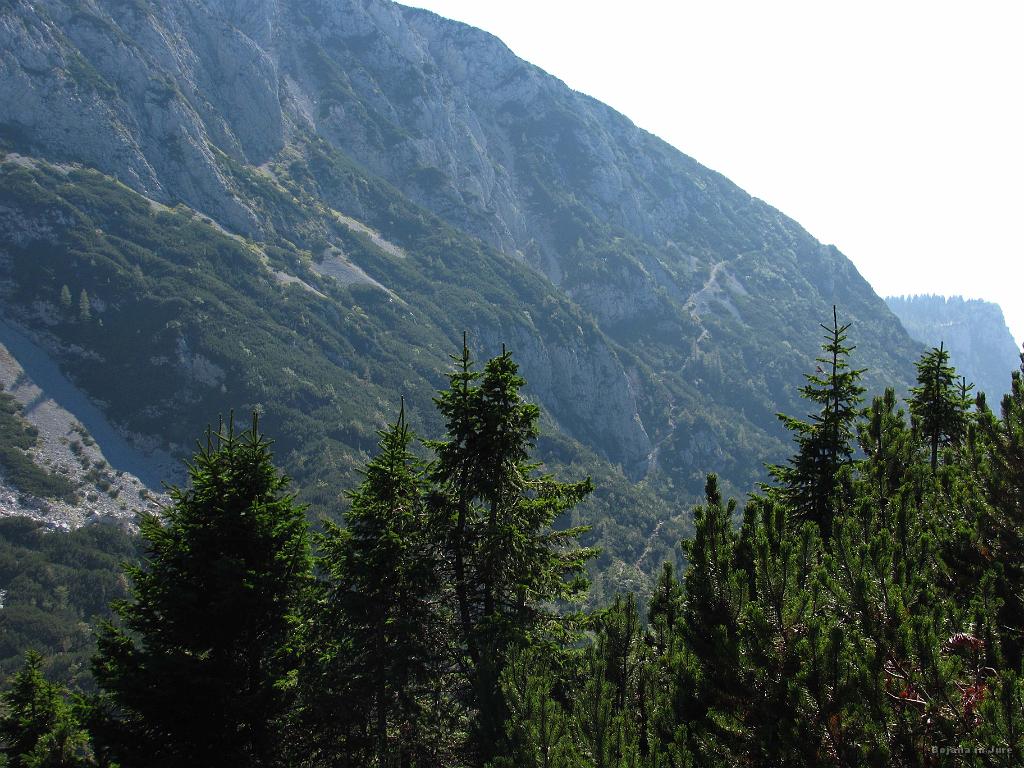 Slika_60.jpg - Že vidimo pot, po kateri se bomo vrnili. Še prej pa se bomo spustili do Dolge njive.