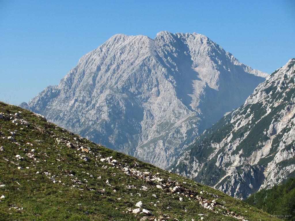Slika_66.jpg - Kočni, ki kar flirtata. Po vajina štemplja že prideva.