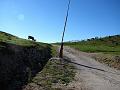 Slika_03