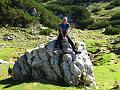 Slika_29