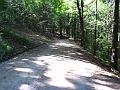 Slika_09