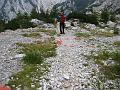 Slika_115