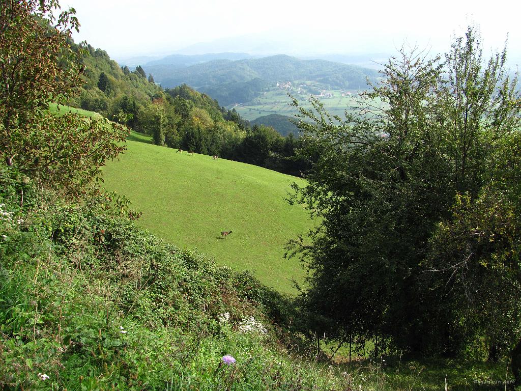 Slika_14.jpg - Bojana se zagleda v smeri tega travnika.