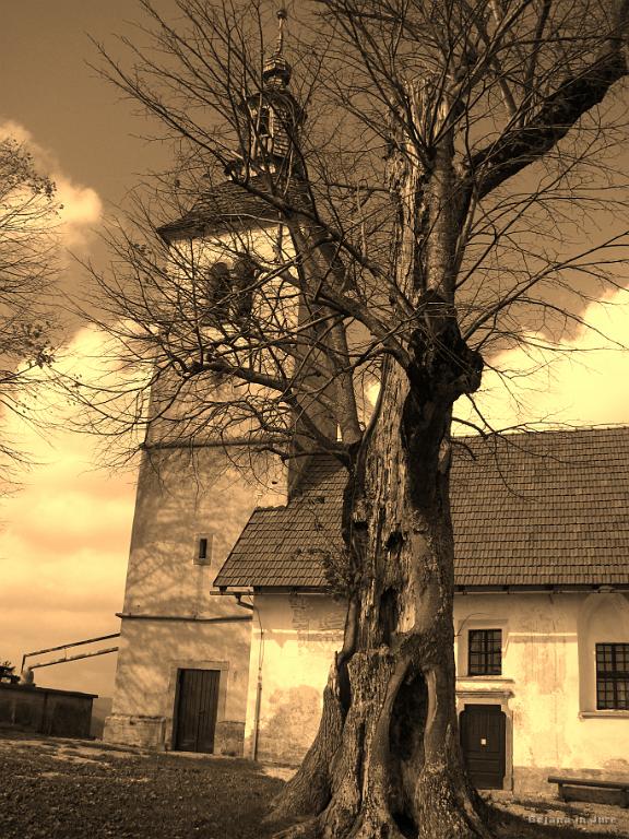 Slika_24.jpg - Idilična cerkvica z zelo utrujeno lipo.