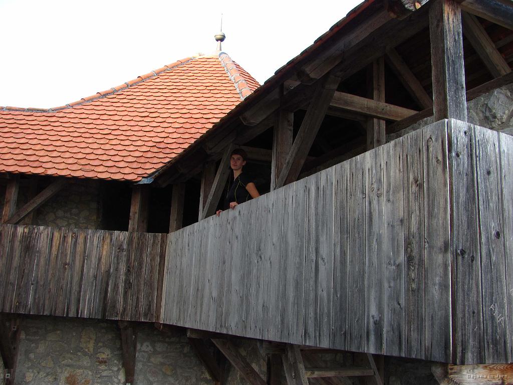 Slika_43.jpg - Grajska dama Bojana.
