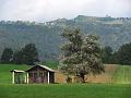 Slika_06