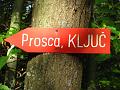 Slika_36