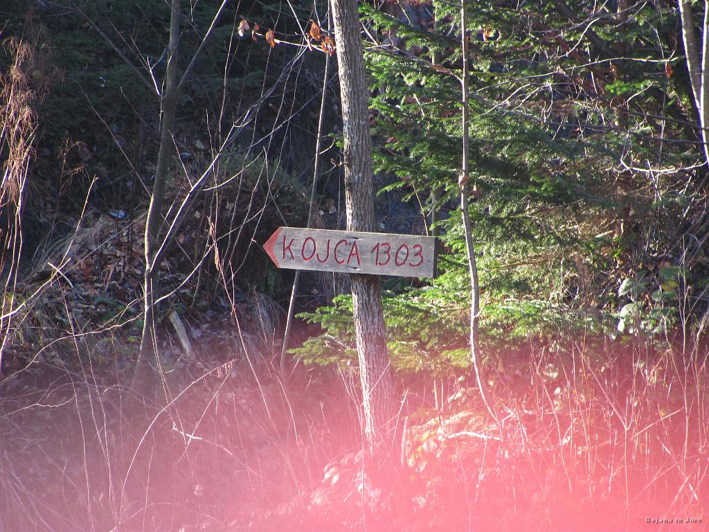 Slika_01.jpg - Izhodišče poti na Vrhu Ravni (900 m).